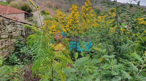 Foto 4 de Casa o chalet en venta en Amoeiro, Ourense