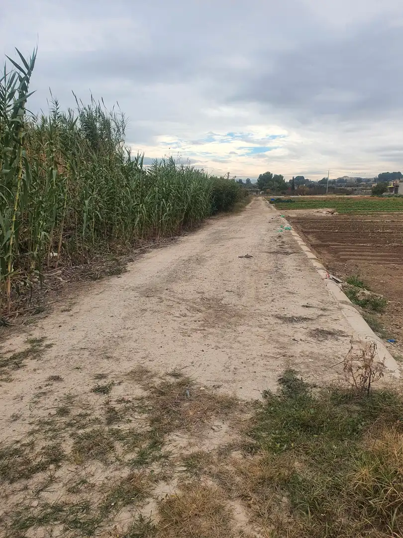 Terreny rústic en venda a Ceutí, imagen 7