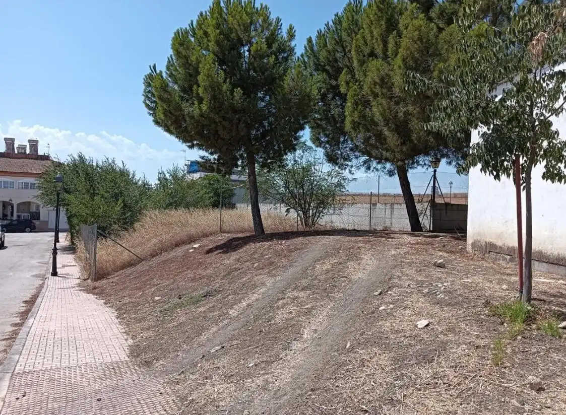 Terreni e lotti in vendita a INFANTA MARINA, imagen 4