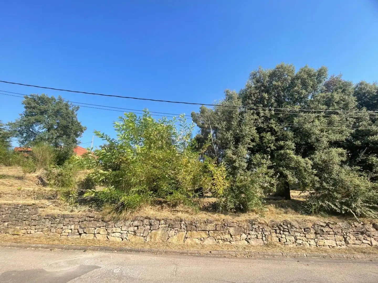 Residential land for sale in dels Avets 36, imagen 2