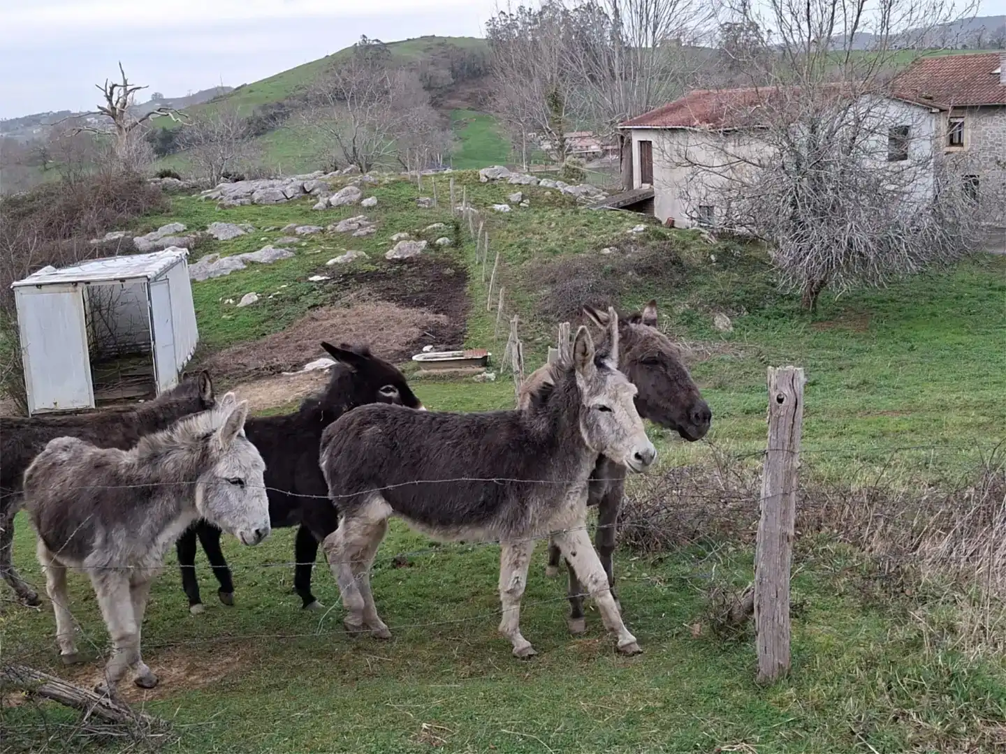 Vista exterior de Finca rústica en venda en Entrambasaguas amb Balcó