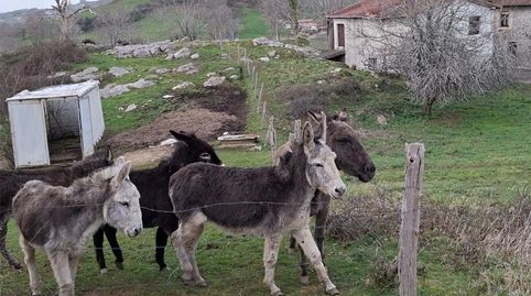 Foto 3 de Finca rústica en venda a Barrio el Sedillo, 27, Entrambasaguas, Cantabria