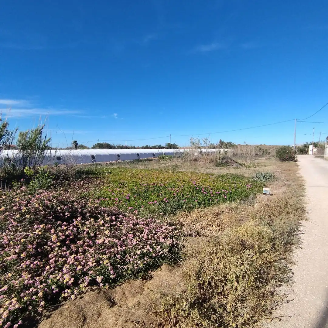 Rural land for sale in Bega de Mar, imagen 5