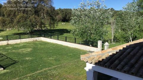 Foto 3 de Finca rústica en venta en El Pedroso, Sevilla