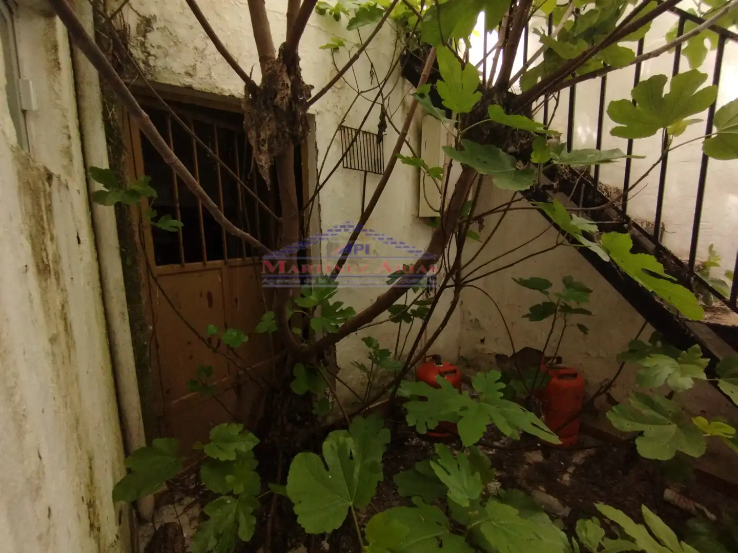 Jardí de Casa adosada en venda en Sabiote