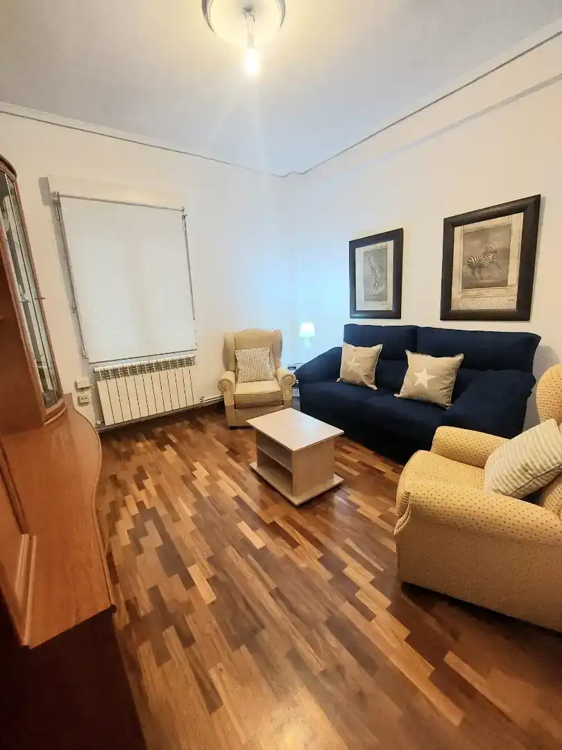 Sala d'estar de Pis en venda en Bilbao 