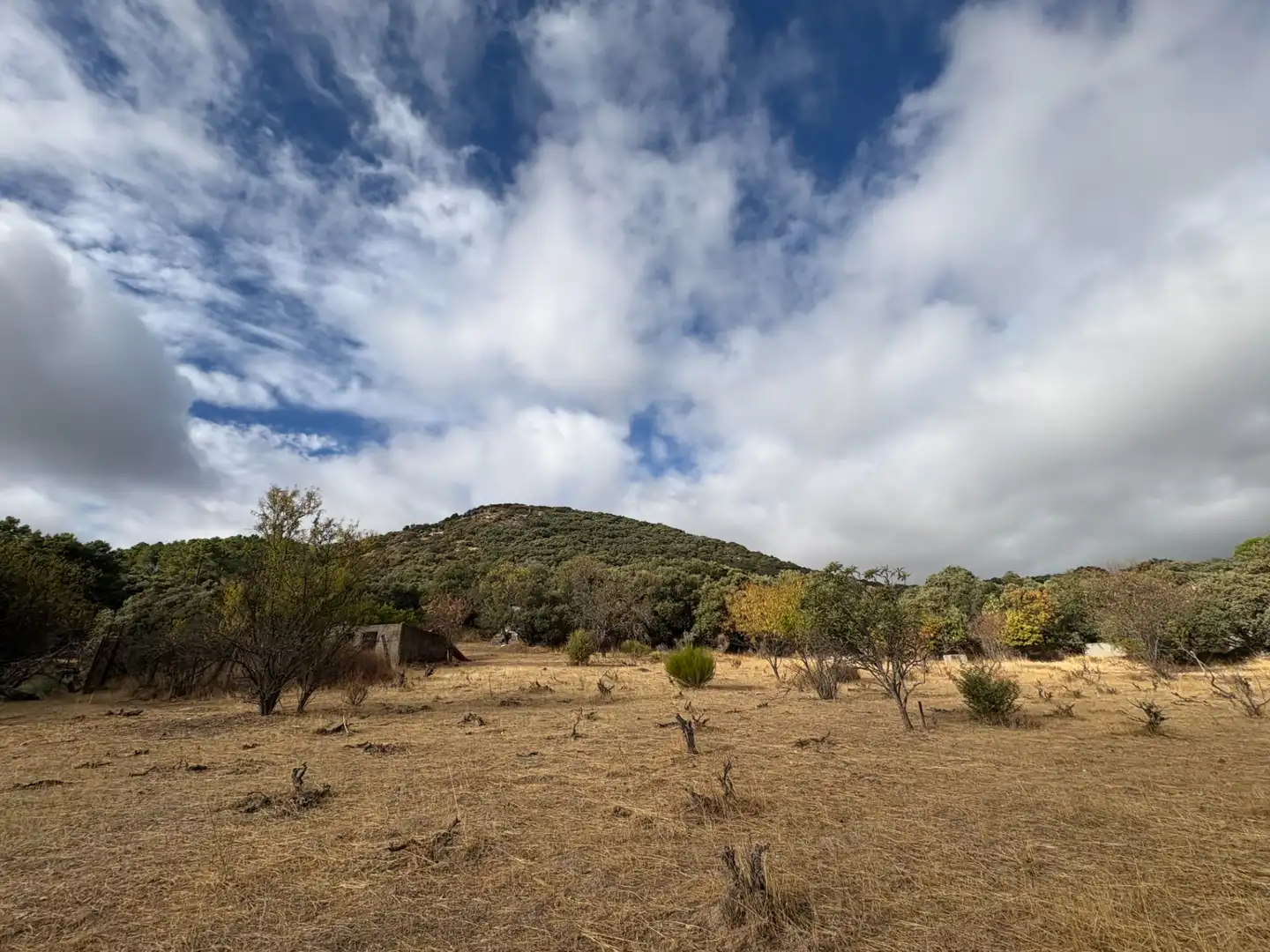 Country homes for sale in Cenicientos