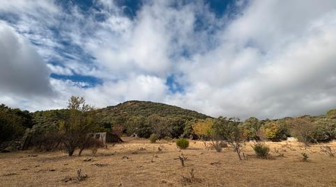 Foto 3 de Finca rústica en venda a Cenicientos, Madrid