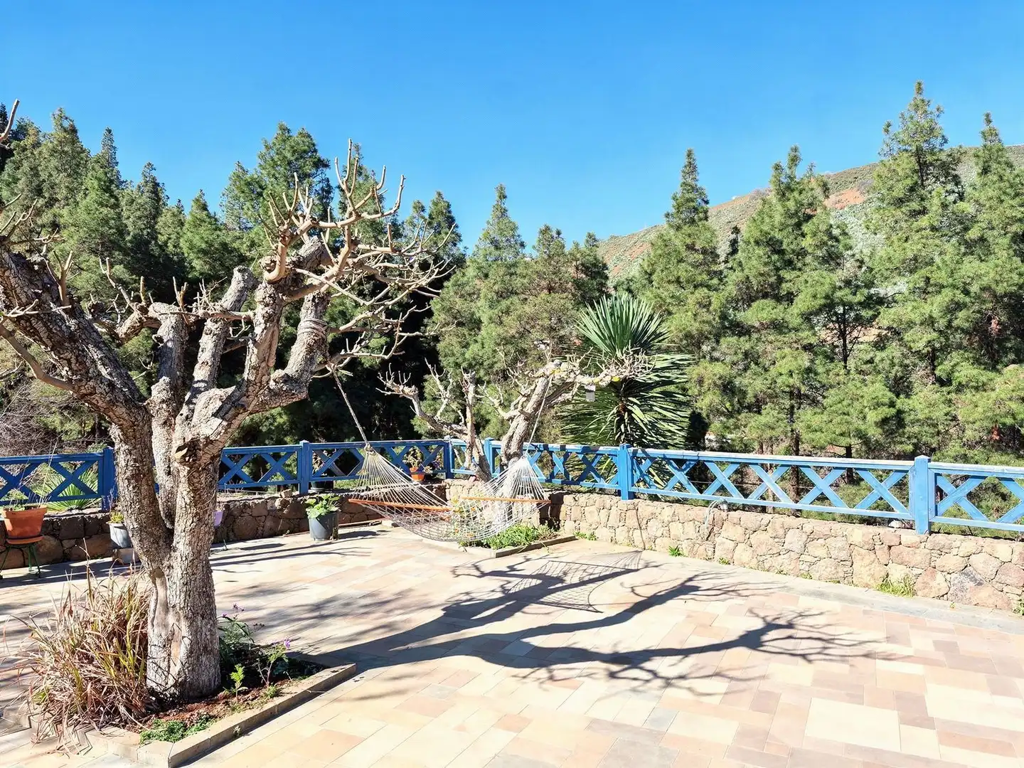 Xalet amb jardí en venda a Vega de San Mateo, imagen 44
