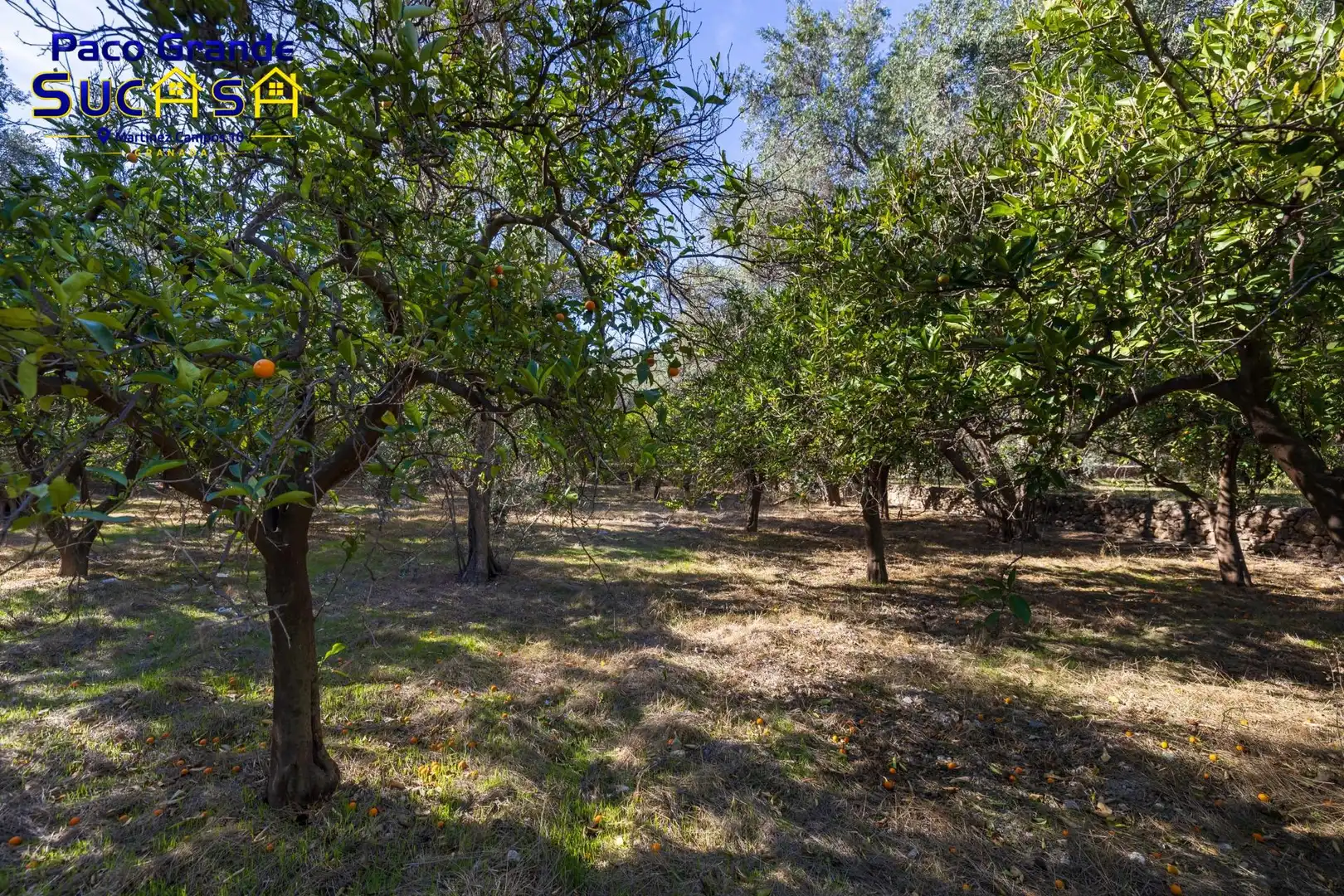 Terreno rustico in vendita a PINOS DEL VALLE, imagen 6