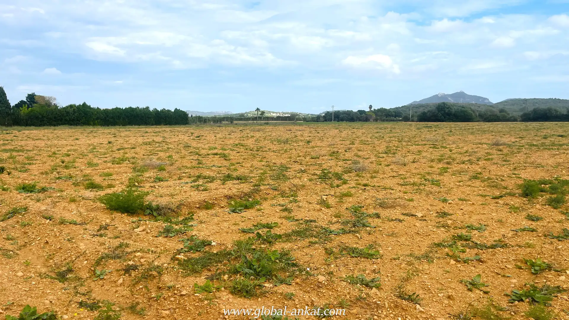 Residential land for sale in Felanitx Poble, imagen 2