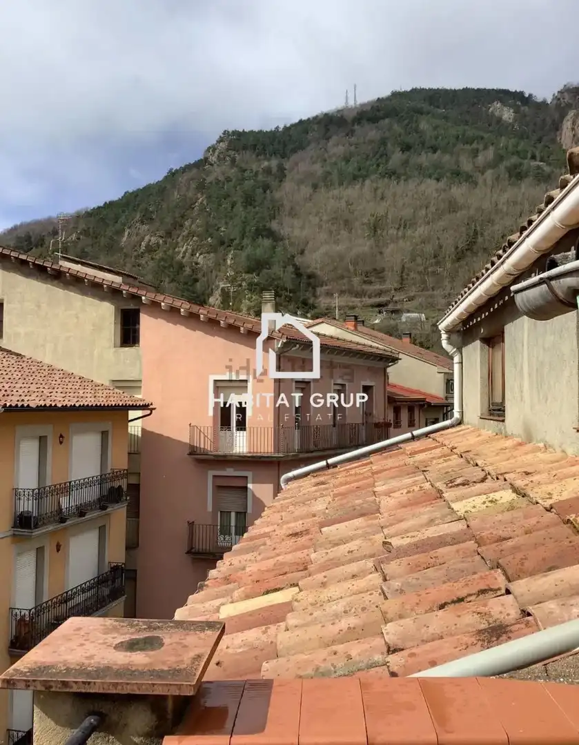 Exterior view of Houses for sale in Ribes de Freser  with Terrace