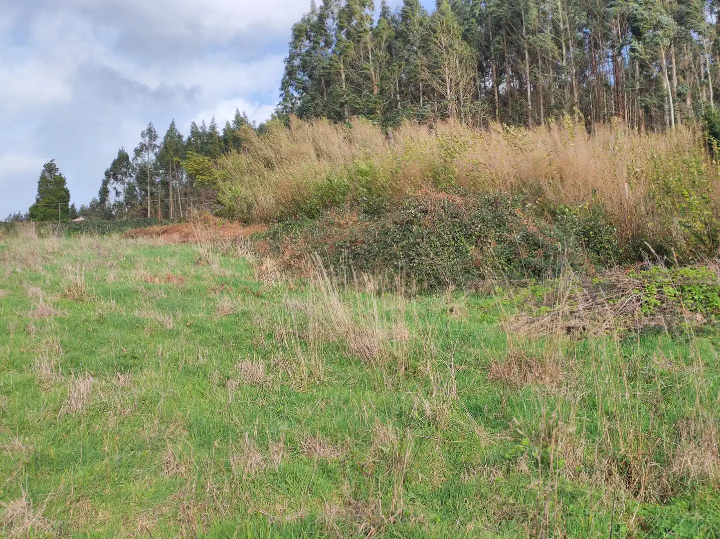 Casa o xalet en venda en Arteixo amb Jardí privat