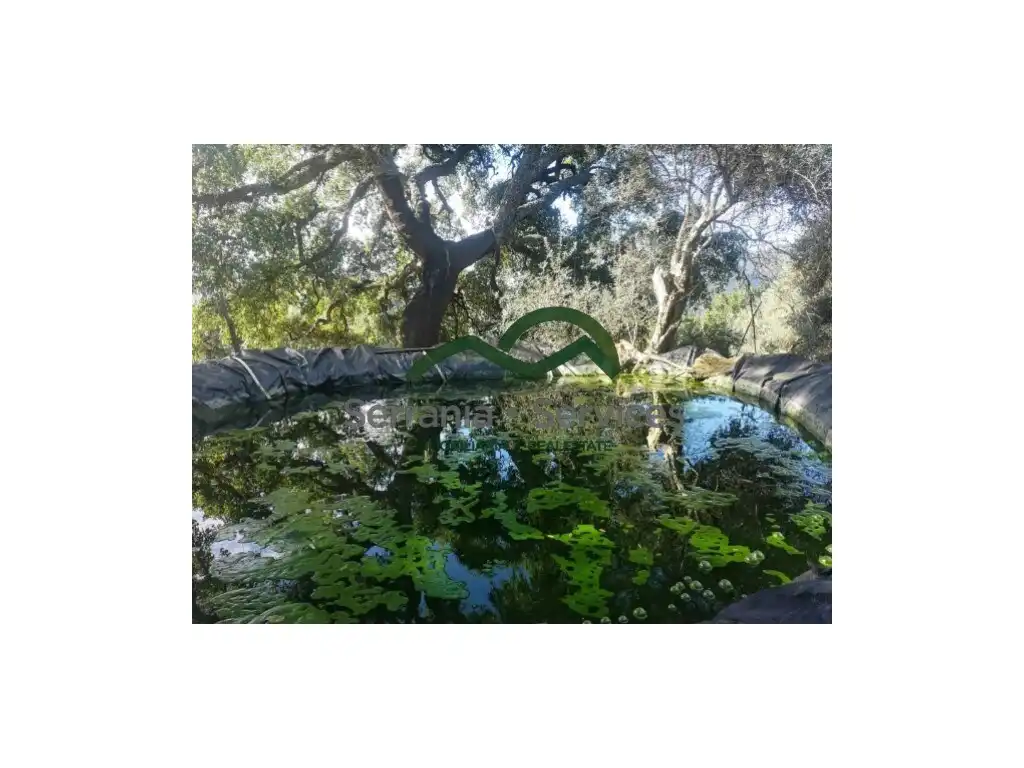 Jardí de Finca rústica en venda en Genalguacil
