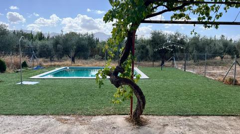 Foto 3 de Casa o xalet de lloguer a Zona de la Vega, Málaga