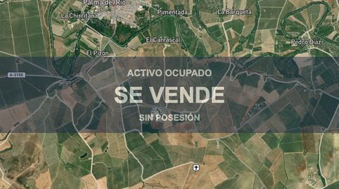 Foto 5 de Pis en venda a Palma del Río, Córdoba
