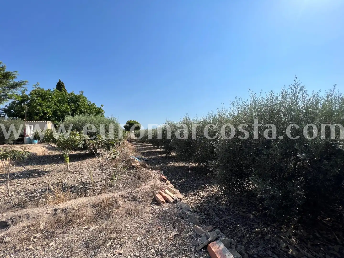 Country homes for sale in Elche / Elx  with Private garden and Furnished