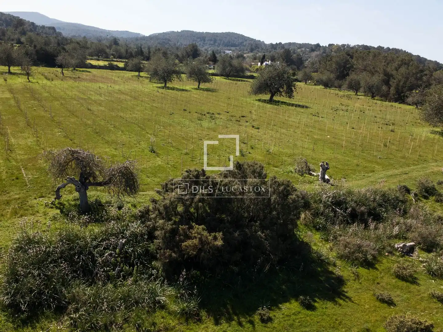Terreny rústic en venda a Sant Antoni de Portmany, imagen 10