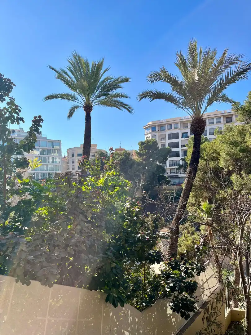 Vista exterior de Planta baixa en venda en Elche / Elx amb Aire condicionat, Calefacció i Terrassa