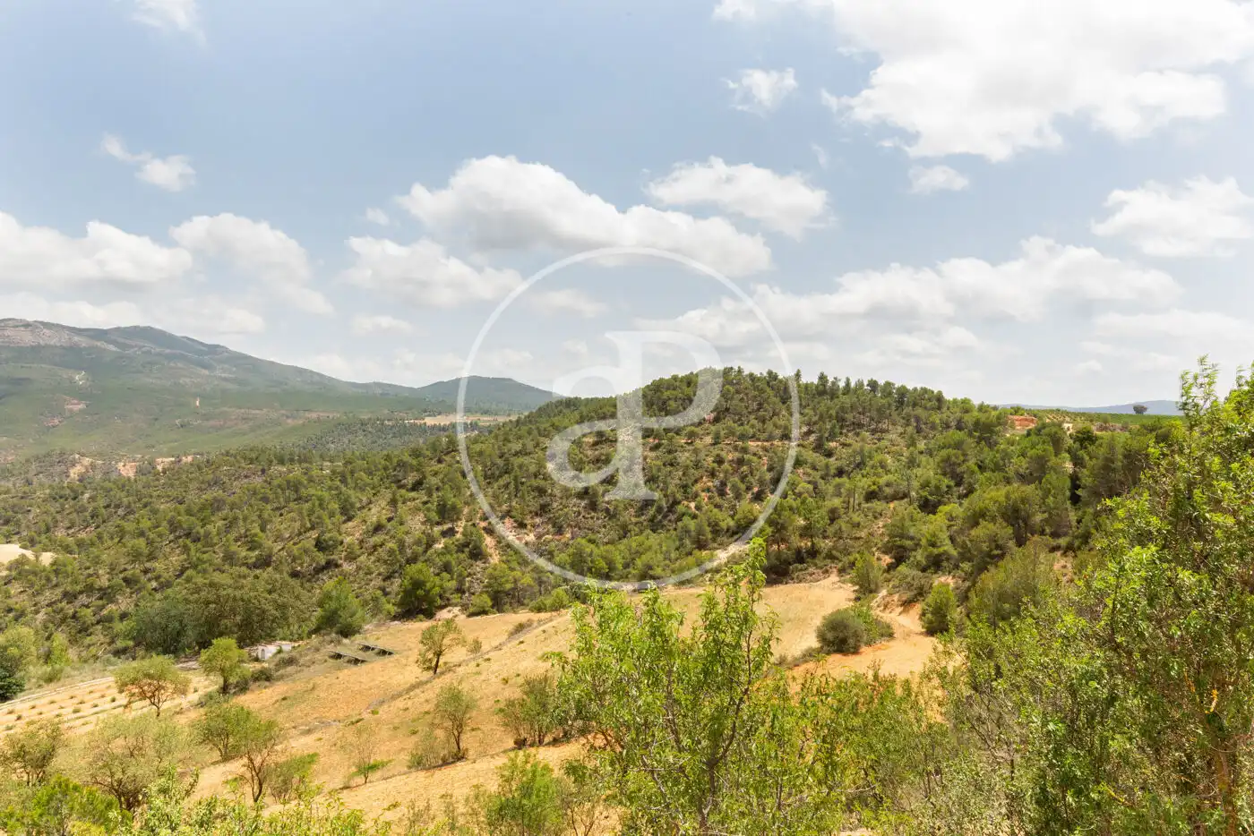 Finca rústica en venda en Requena amb Aire condicionat, Calefacció i Jardí privat
