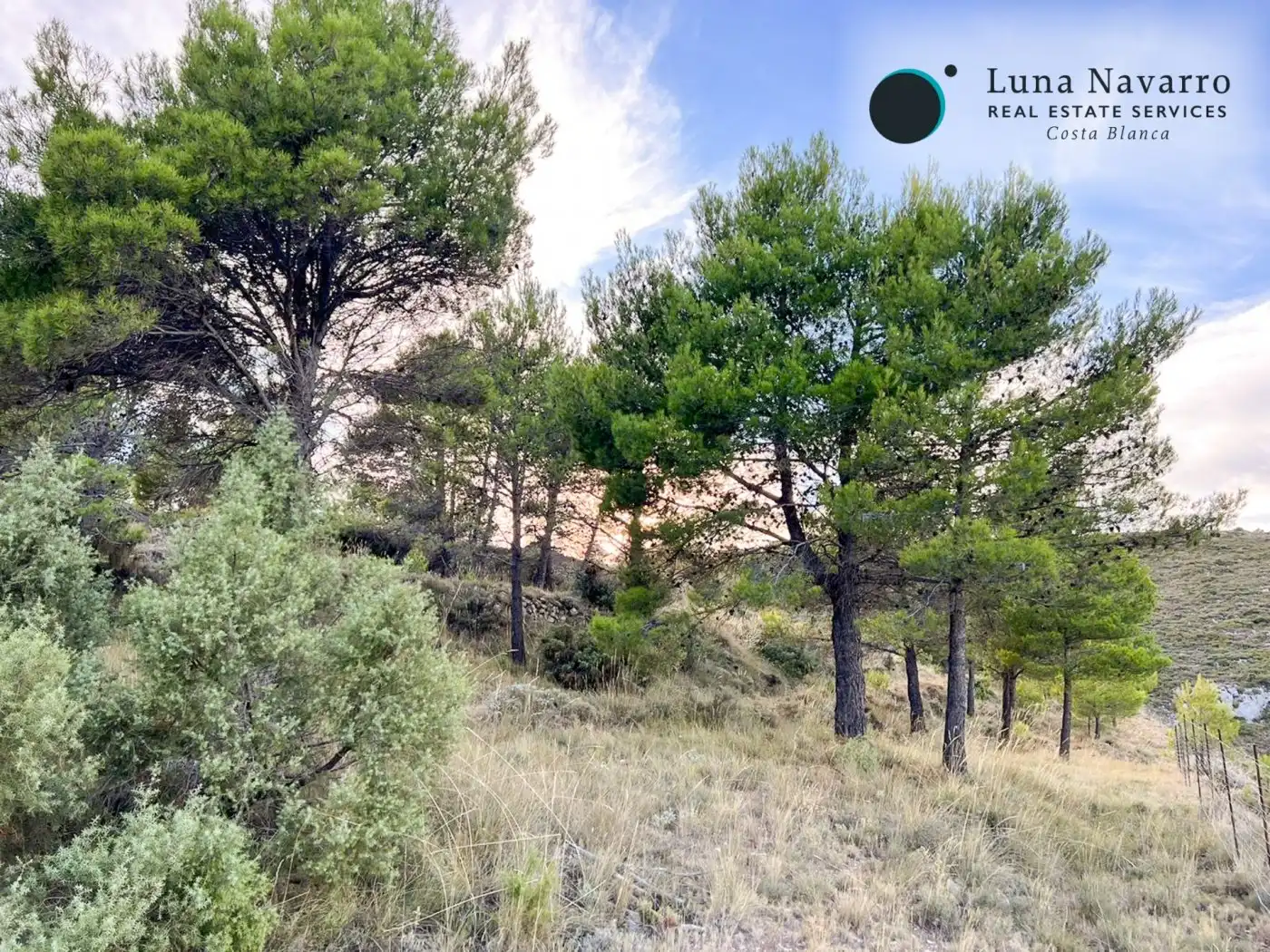 Terreno en venta en Calle San Antonio, 50, Confrides