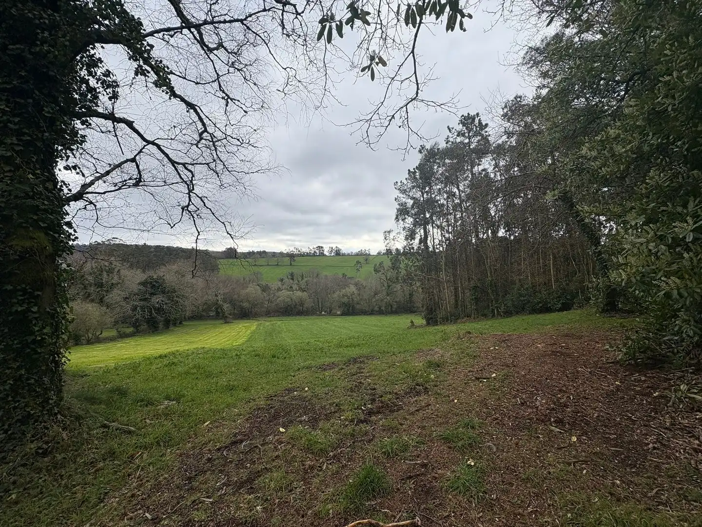 Chalet en venta en Lugar Igrexario, imagen 15