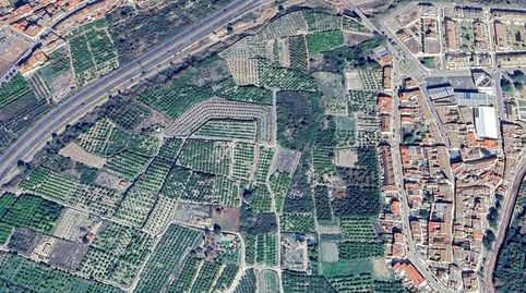 Solvia Inmobiliaria  Suelo Rústico Alfauir, immagine 3