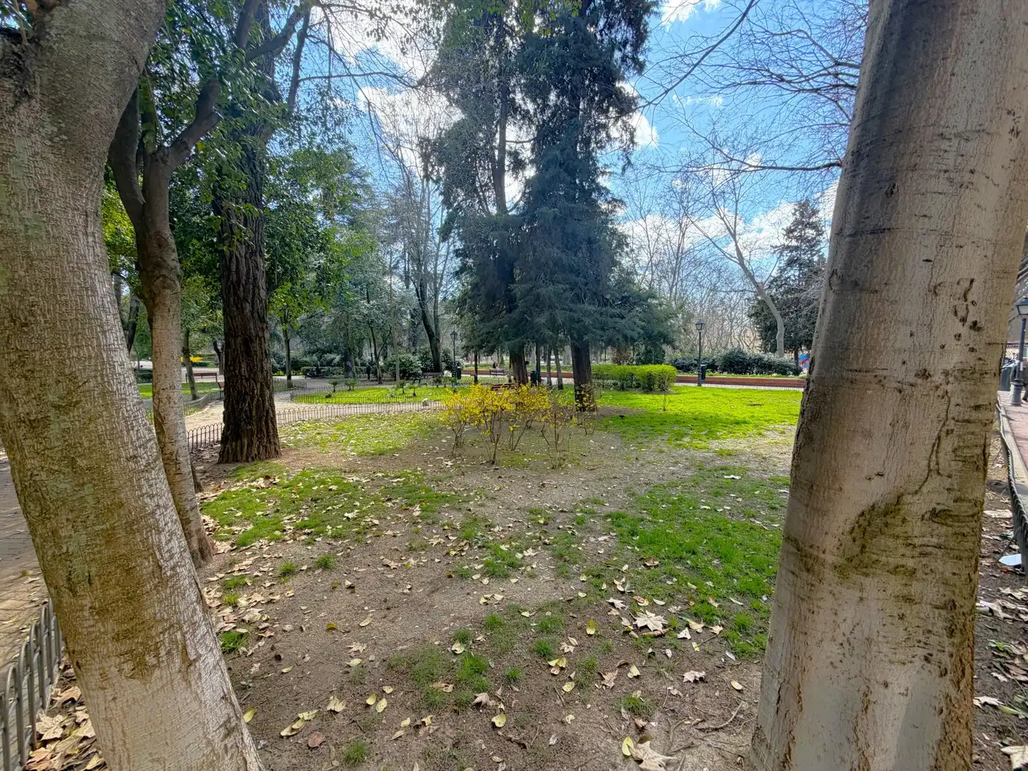 Jardí de Pis de lloguer en Madrid amb Aire condicionat, Calefacció i Parquet