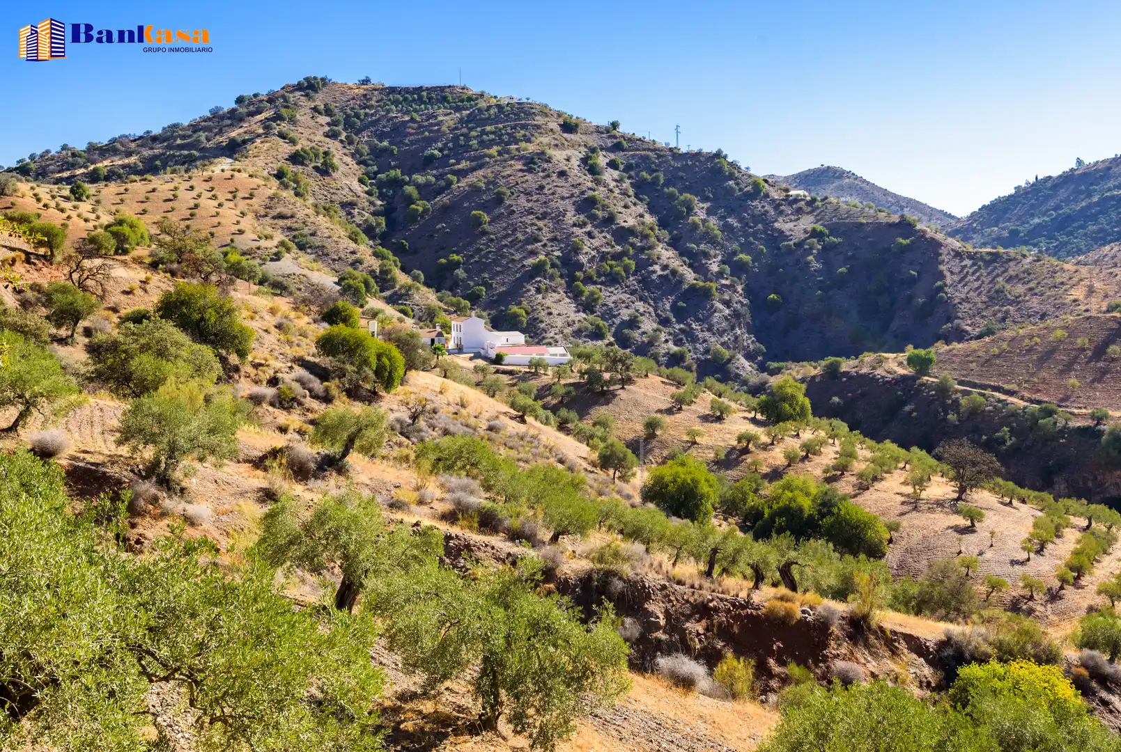 Vista exterior de Finca rústica en venta en Álora con Jardín privado y Trastero