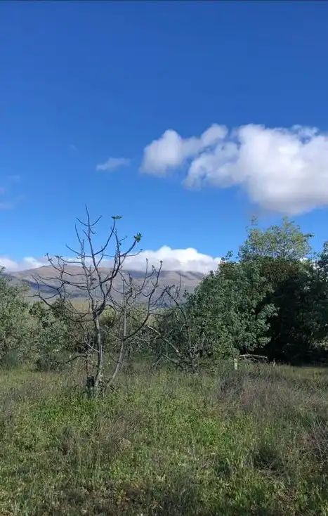Terreni e lotti in vendita a Cuacos de Yuste, imagen 2