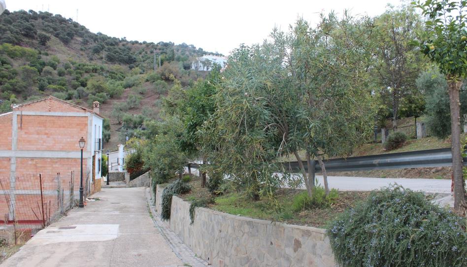 Foto 1 de Residencial en venta en Calle Los Chopos, 7, El Gastor, Cádiz
