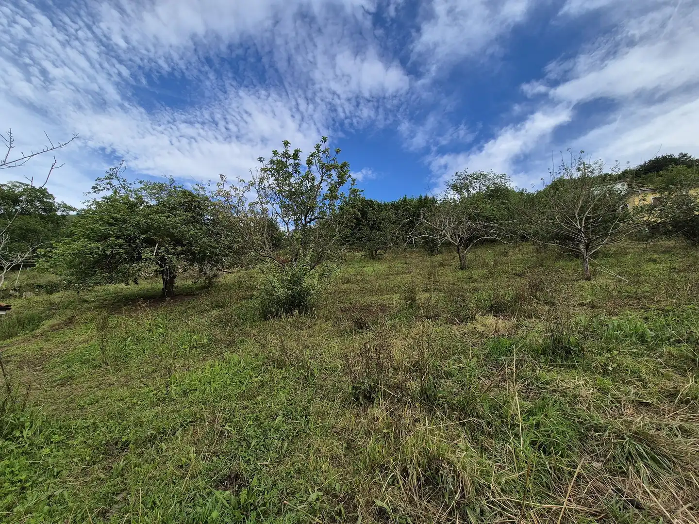 Residential land for sale in Grado, imagen 3