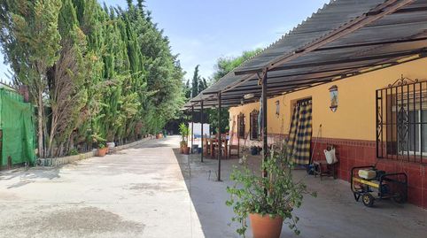 Foto 2 de Casa o chalet en venta en Paraje Torca Grande, Poleares, Lucena