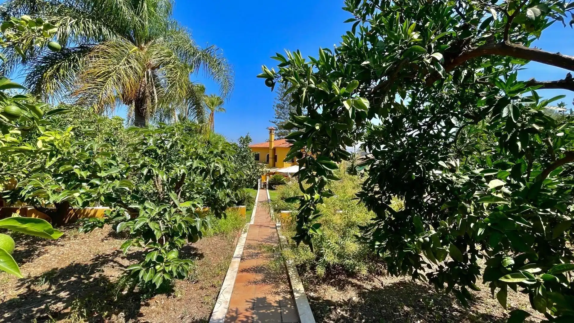 Jardí de Casa o xalet en venda en Alhaurín de la Torre amb Aire condicionat, Jardí privat i Terrassa