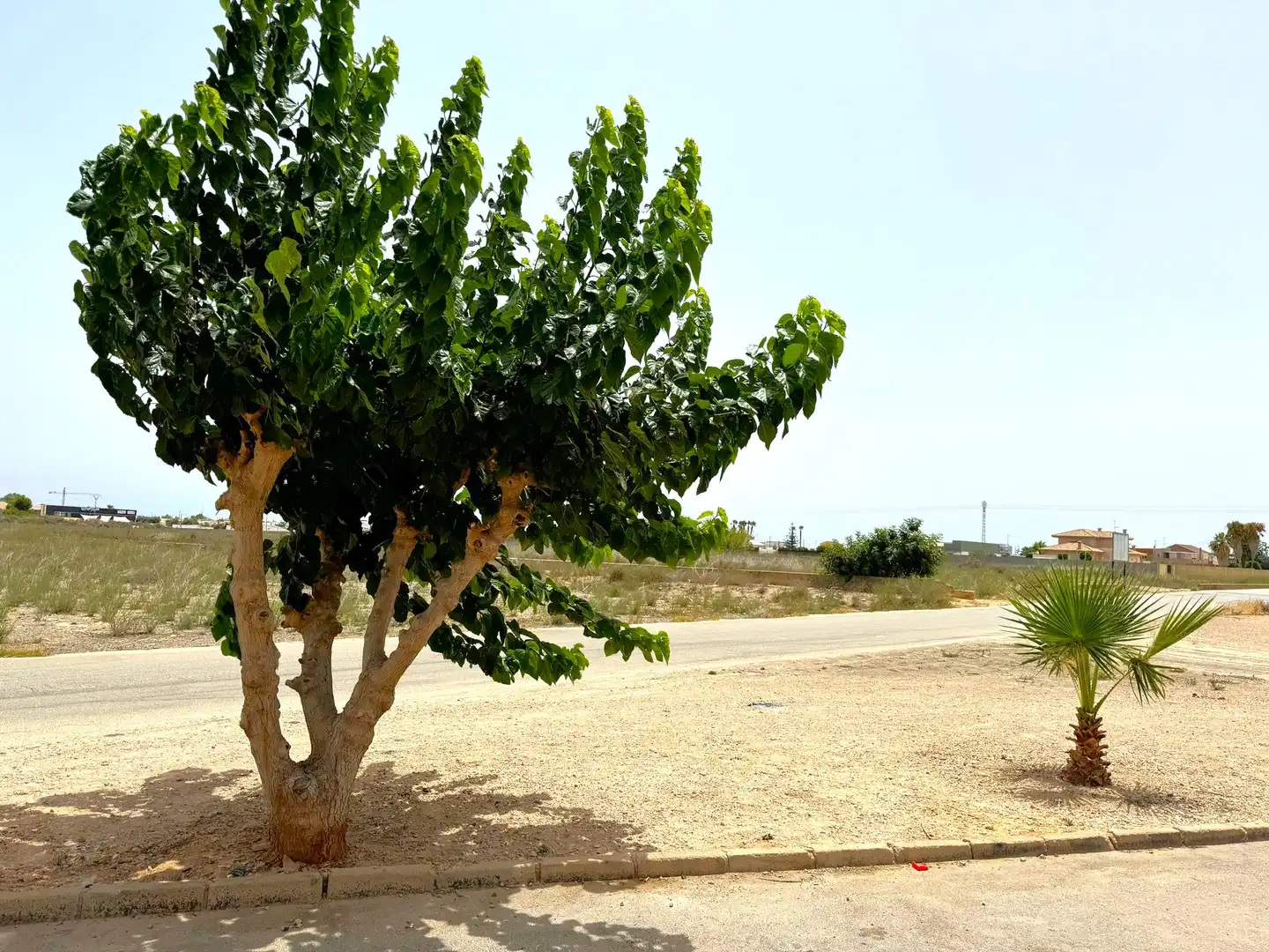 Casa o xalet en venda en San Pedro del Pinatar amb Aire condicionat, Calefacció i Terrassa