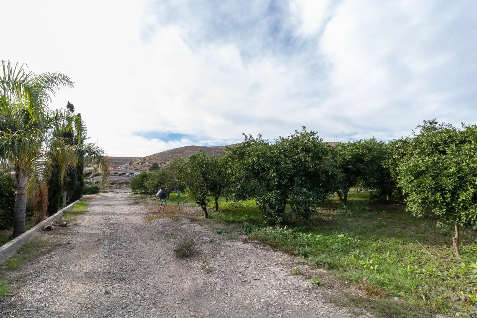 Land for sale in Santa Fe de Mondújar