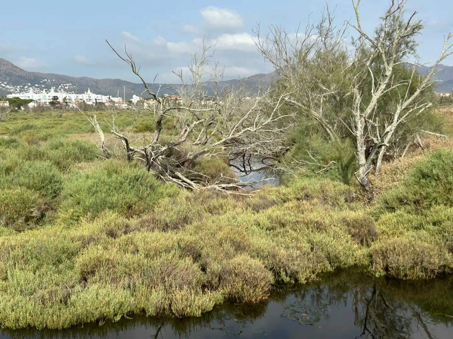 Terreny rústic en venda a Castelló d'Empúries, imagen 5
