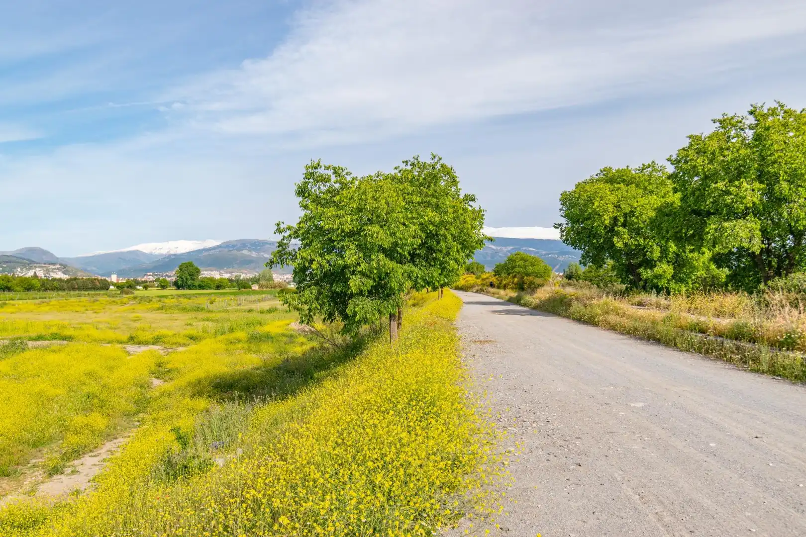 Lands and plots for sale in Polígono 9 Parcela 307 MARACHAT. GRANADA (GRANADA, imagen 18