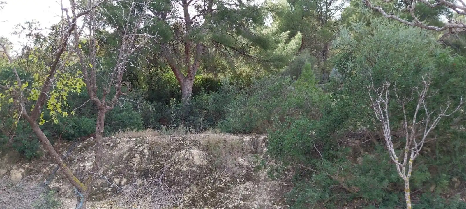 Wohnbaugrundstück zum Verkauf in Platja de Torres, imagen 23