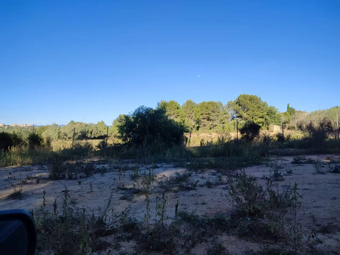 Rural land to rent in Los Felipes - Corral de Carmelo, imagen 7