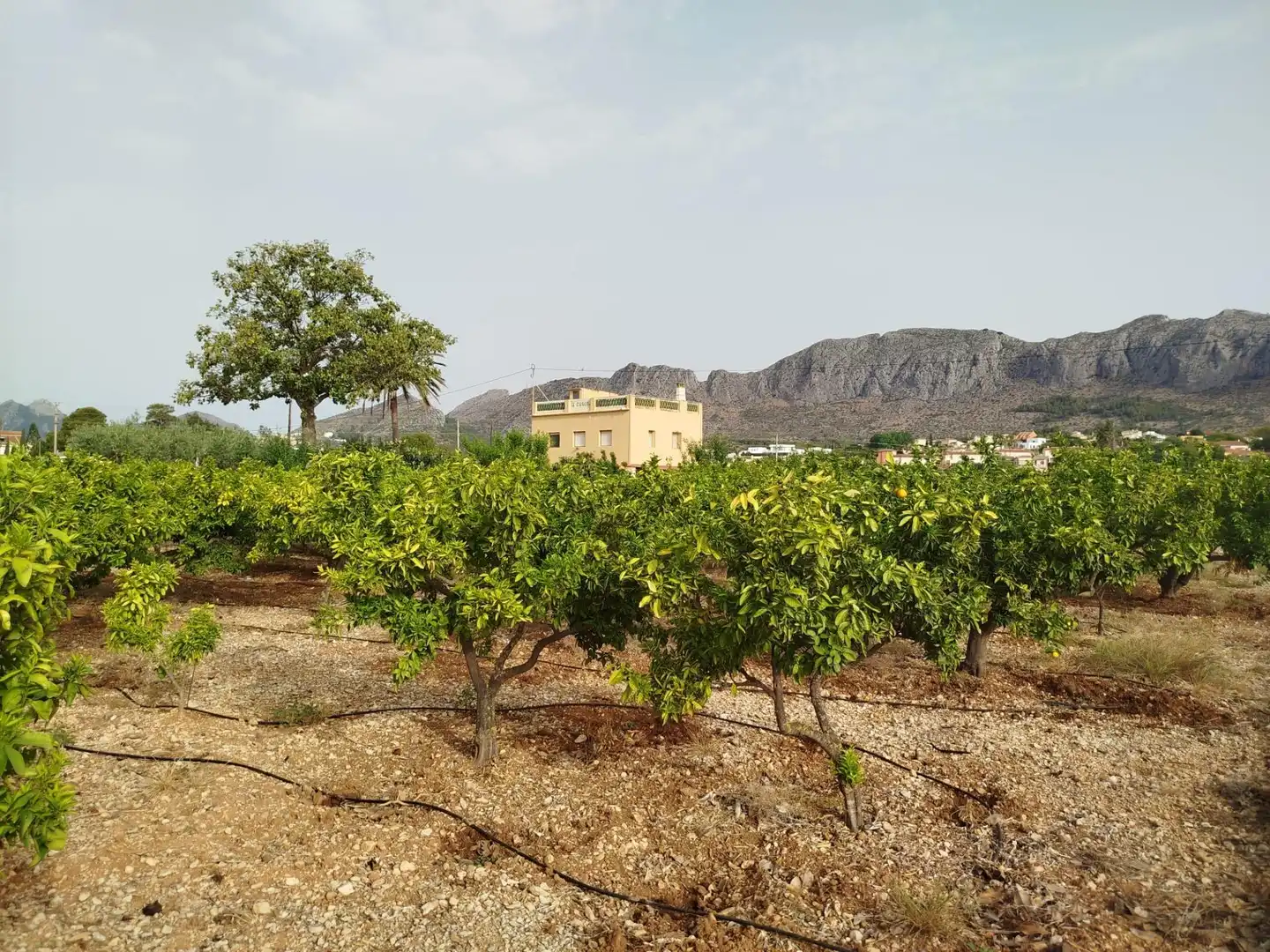 Country homes for sale in Ondara  with Private garden