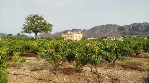 Photo 5 of Country homes for sale in Ondara, Alicante