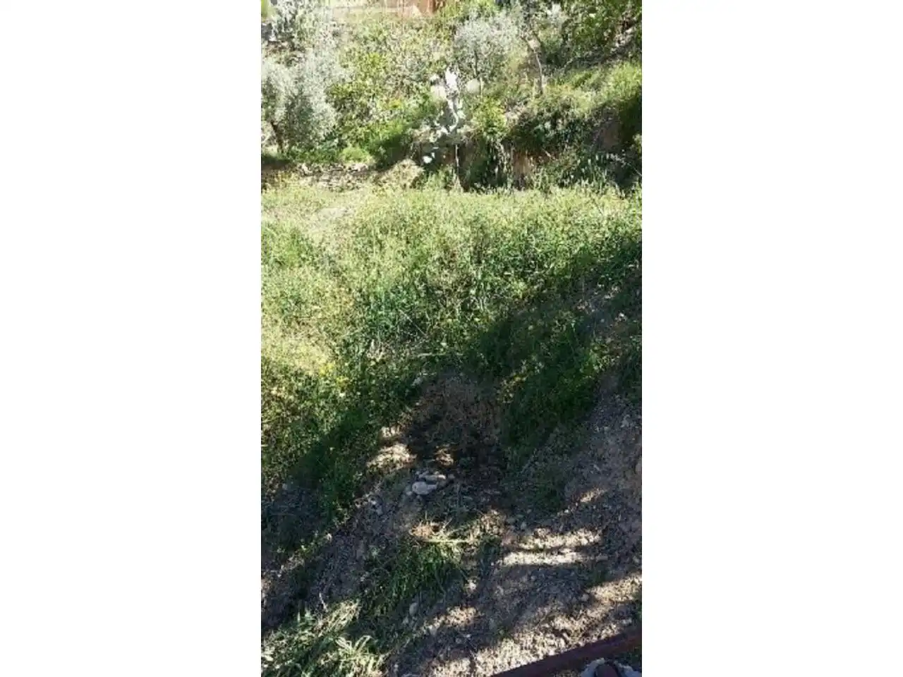 Terreno residencial en venta en Castellnou - Can Mir - Can Solà, imagen 3
