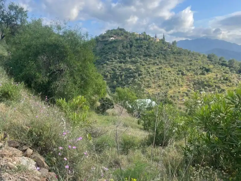 Terreno en venta en Guaro