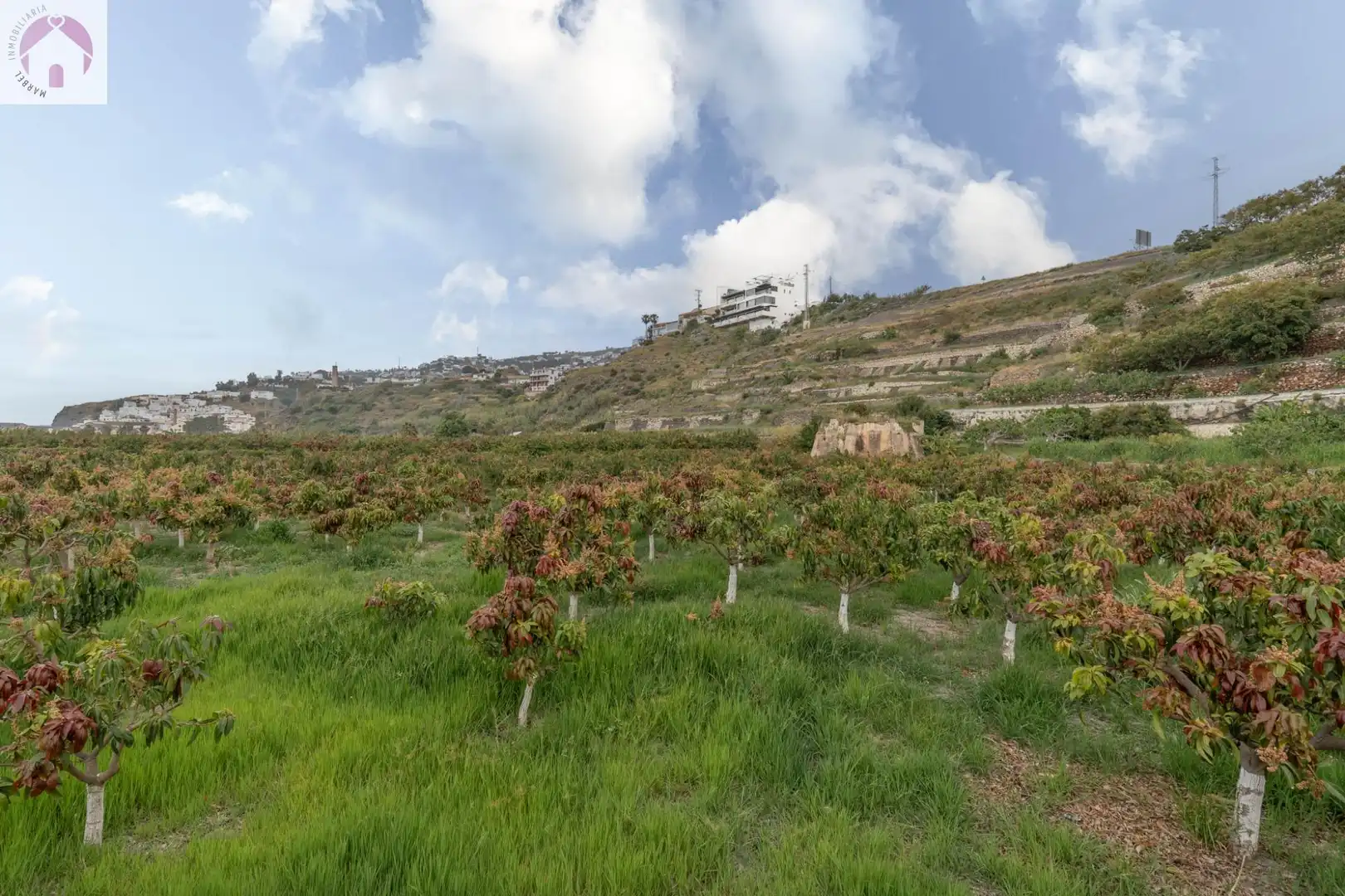 Residential for sale in CARRETERA MALAGA (CAL), 74, La Caleta - La Guardia