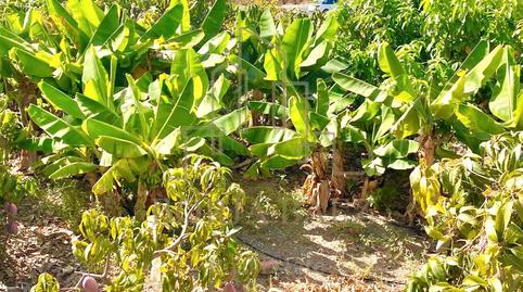 Foto 5 de Casa o xalet en venda a N/a, -1, Camino Viejo de Málaga, Vélez-Málaga