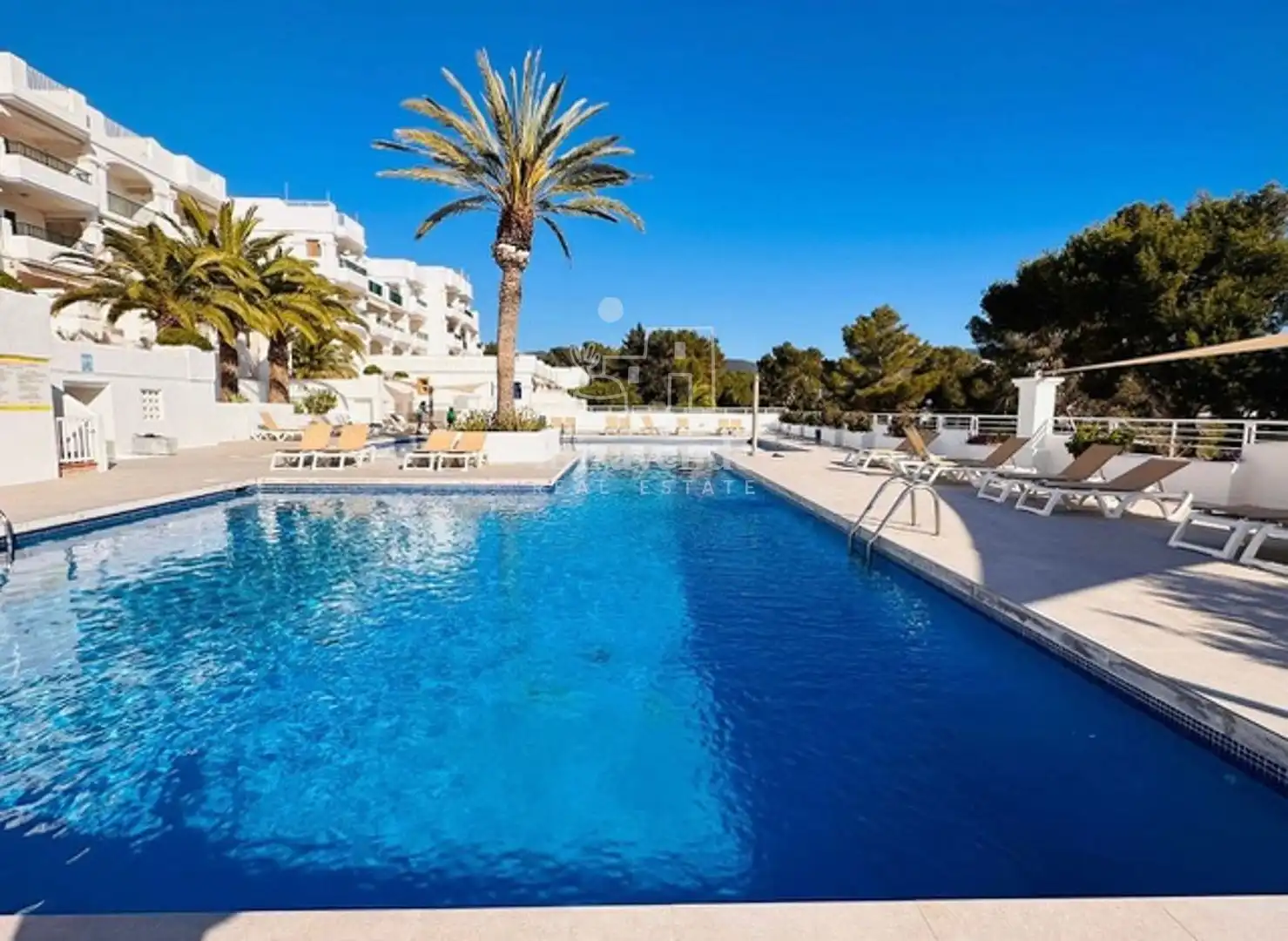Flat for rent in Coral Mar, Cala Vedella - Cala Tarida