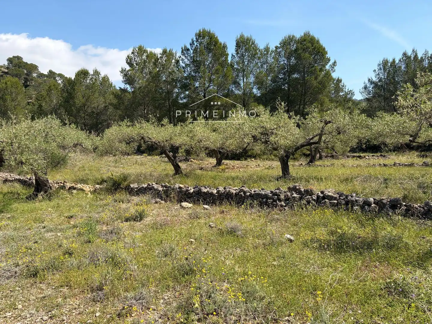 Terreno rústico en venta en L'Ametlla de Mar pueblo, imagen 5