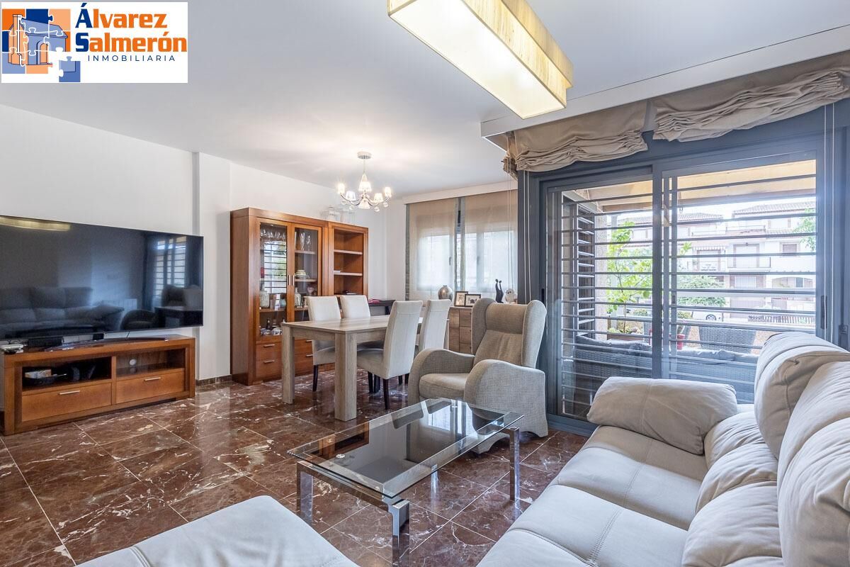 Living room of Single-family semi-detached for sale in Armilla  with Terrace, Furnished and Balcony