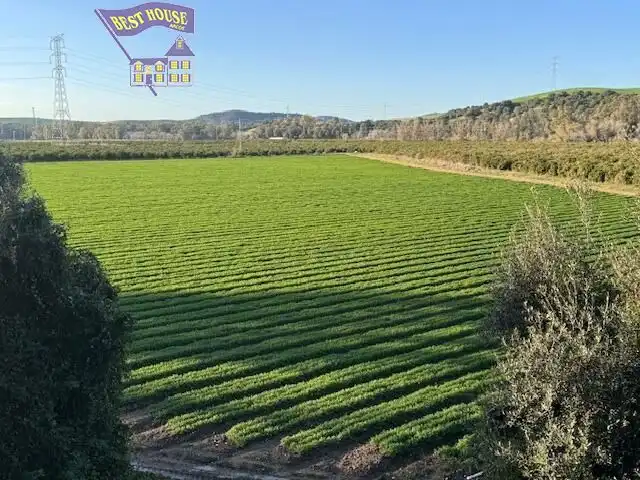 Terreny rústic en venda a Arcos de la Frontera, imagen 3